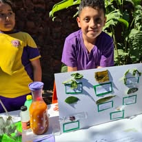 Actividad de ciencias Centro Educativo Nobel